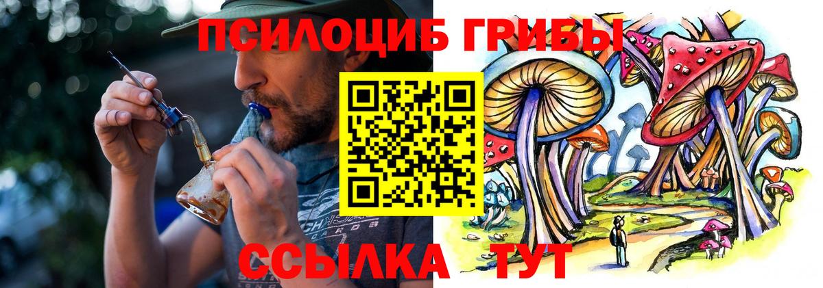 Киселёвск  Псилоцибиновые грибы Cubensis  Вход с VPN  Псилоцибиновые грибы Magic Shrooms 