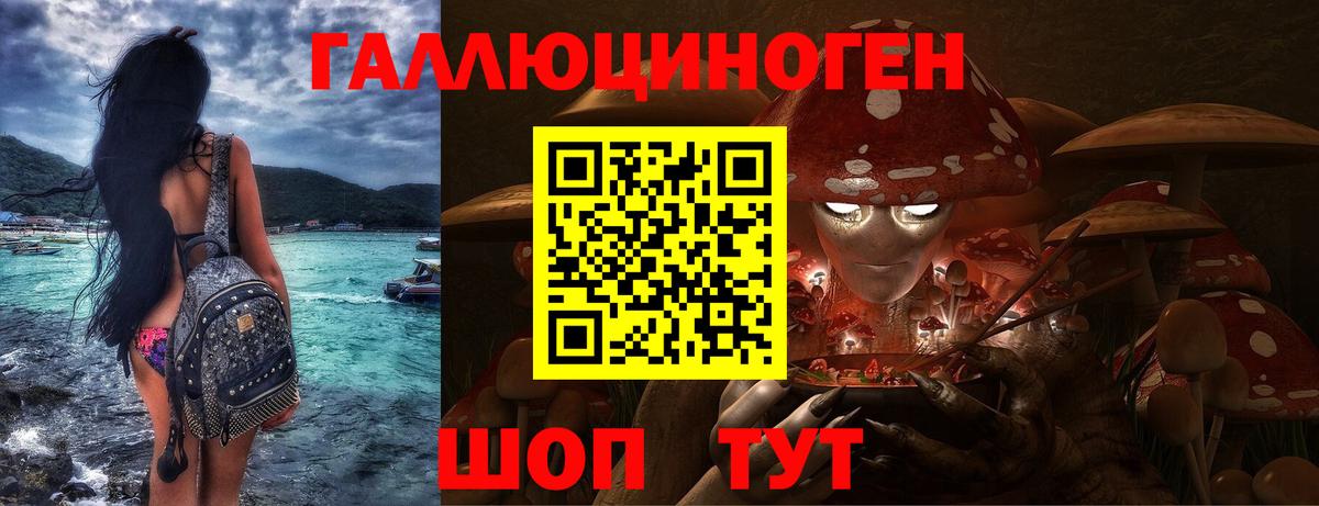 Галлюциногенные грибы Psilocybe Киселёвск